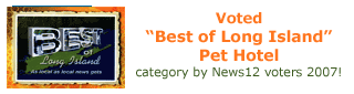 Long Island Voted Best Kennel 2007